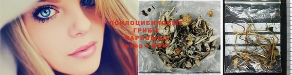 PSILOCYBIN Алзамай