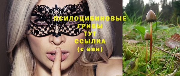 PSILOCYBIN Алзамай