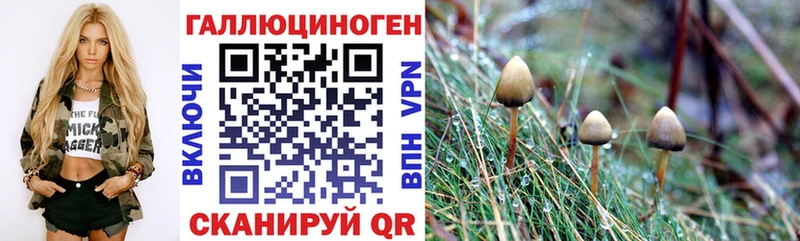 Псилоцибиновые грибы GOLDEN TEACHER  Чёрмоз 
