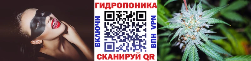Марихуана ГИДРОПОН Чёрмоз